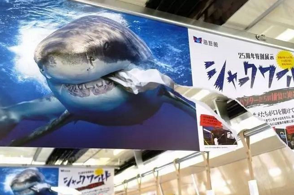 這是一張海報(bào)的正反面。人們很容易被這個(gè)破損的不尋常海報(bào)吸引注意力。