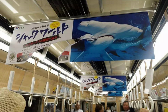 這是一張海報(bào)的正反面。人們很容易被這個(gè)破損的不尋常海報(bào)吸引注意力。