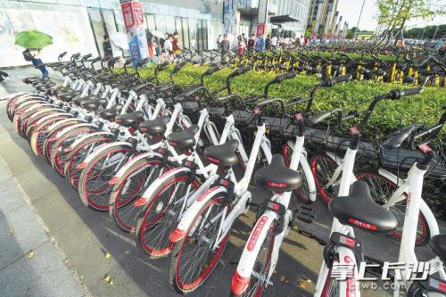 昨日下午，在開福區(qū)萬達(dá)廣場，成片的共享單車停放在廣場前坪。 長沙晚報(bào)記者 黃啟晴 攝