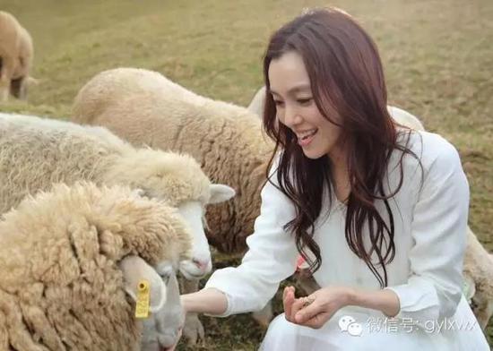 明星旅行糗事一籮筐 總有一個(gè)萌到你！