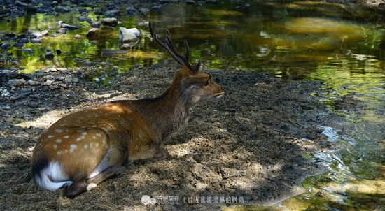 童話(huà)世界  攝影/爾冬