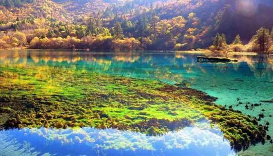 門票那么貴 沒法玩耍了！