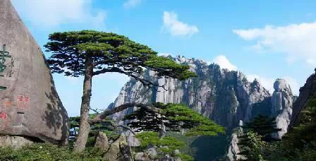 門票那么貴 沒法玩耍了！