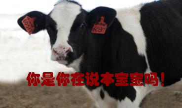 關(guān)我什么事！