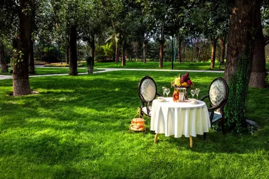 秋陽鴻園，芳草青青