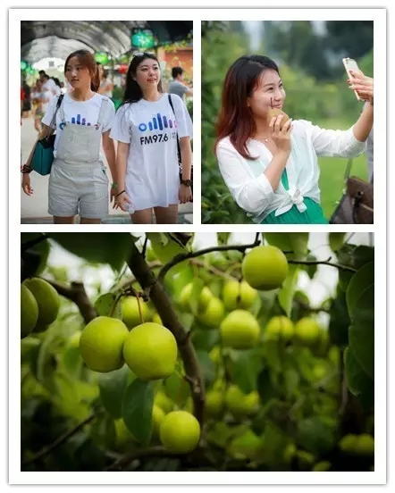 美女與香梨，你更愛(ài)哪一個(gè)？！