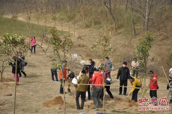 熱火朝天的植樹總動(dòng)員 熱火朝天的植樹總動(dòng)員