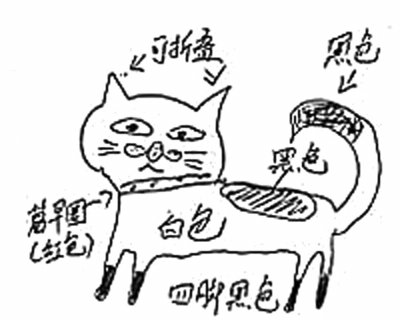 愛(ài)貓失蹤沒(méi)“留影”主人手繪尋貓圖網(wǎng)友贊太有才 愛(ài)貓失蹤沒(méi)“留影”主人手繪尋貓圖網(wǎng)友贊太有才