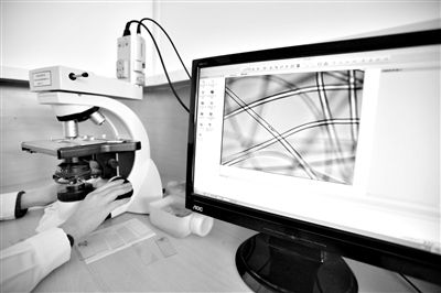 顯微鏡下，聚酯纖維很光亮，表面有斑點，粗細(xì)非常均勻。