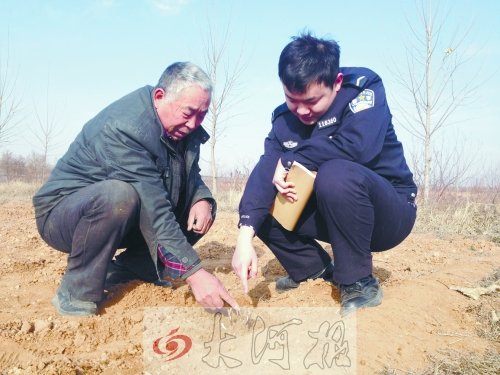 牡丹苗被盜之后，郭萬(wàn)通又補(bǔ)種的牡丹苗已經(jīng)發(fā)芽