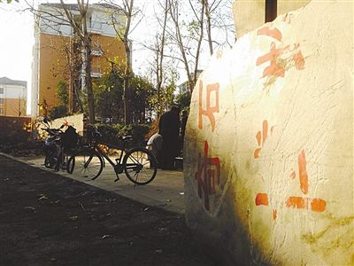 昨日，“上海奇石盆景博物館”原址上，已矗立起小區(qū)樓盤，而刻著博物館名的巨石，廢棄在一旁。本版圖片/新京報記者 張永生 攝