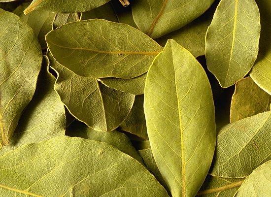 你知道廚房里常見調(diào)料的用法嗎？