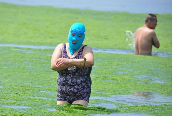 2013年7月3日，山東青島青島高溫來襲，“青島大媽”不懼滸苔，戴著“強(qiáng)盜面具”出現(xiàn)在海水浴場消暑降