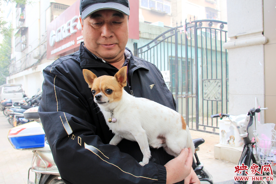 在市民眼里，小狗狗都是他們的小寶貝
