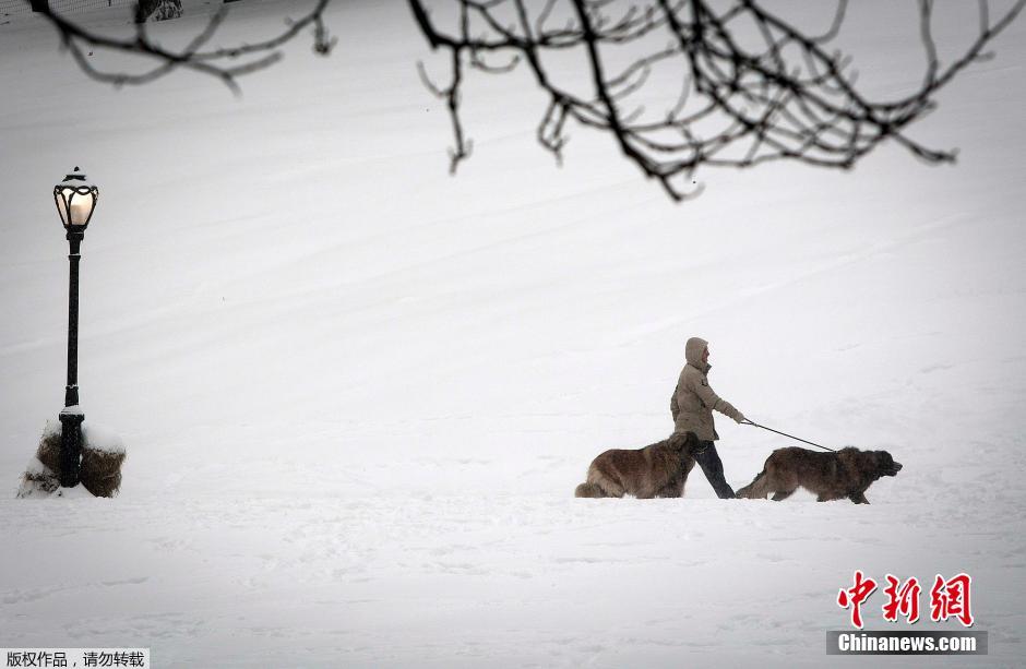 美國(guó)中東部遭暴風(fēng)雪肆虐 街頭房屋變“冰屋”