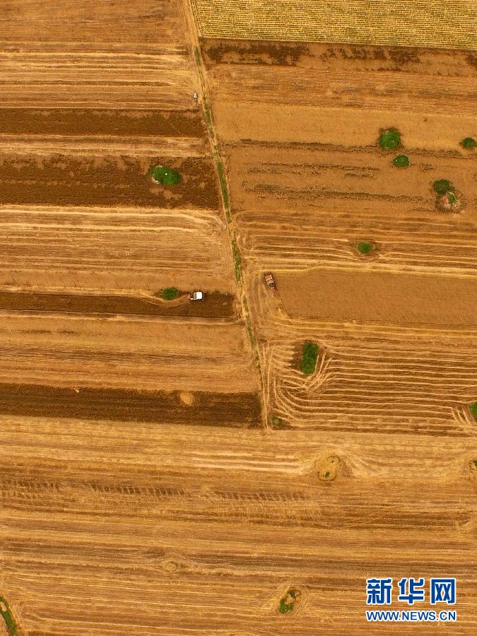 這是5月28日在河南省南陽市唐河縣甘河灣村航拍的麥?zhǔn)宅F(xiàn)場。