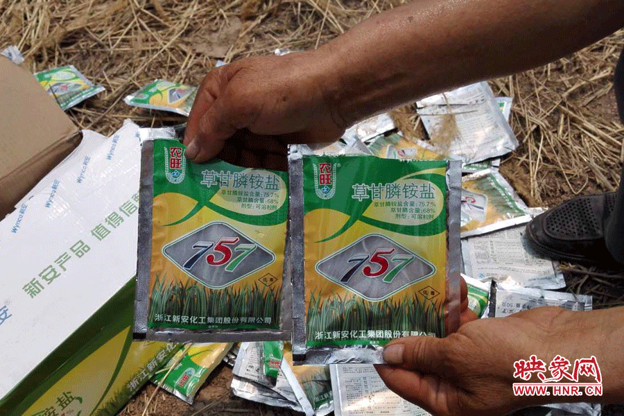 毀掉玉米的農(nóng)藥袋散落在地頭。