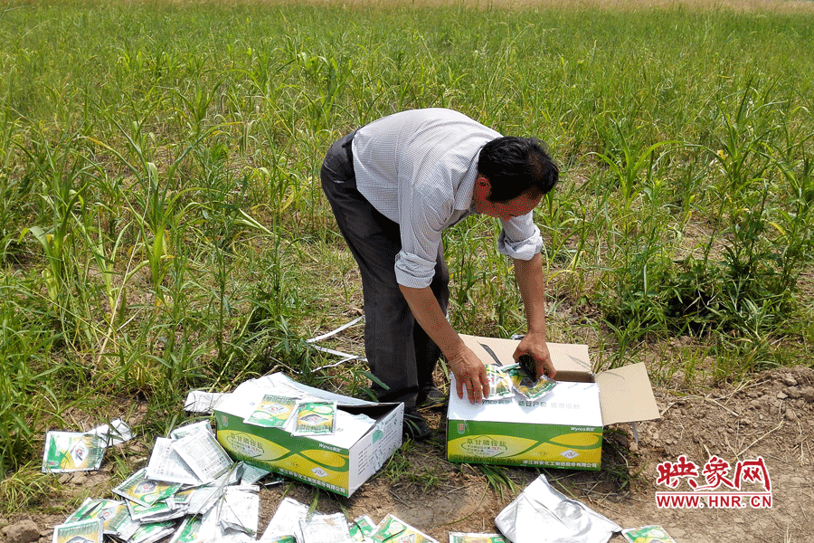 村民察看摧毀玉米的農(nóng)藥。