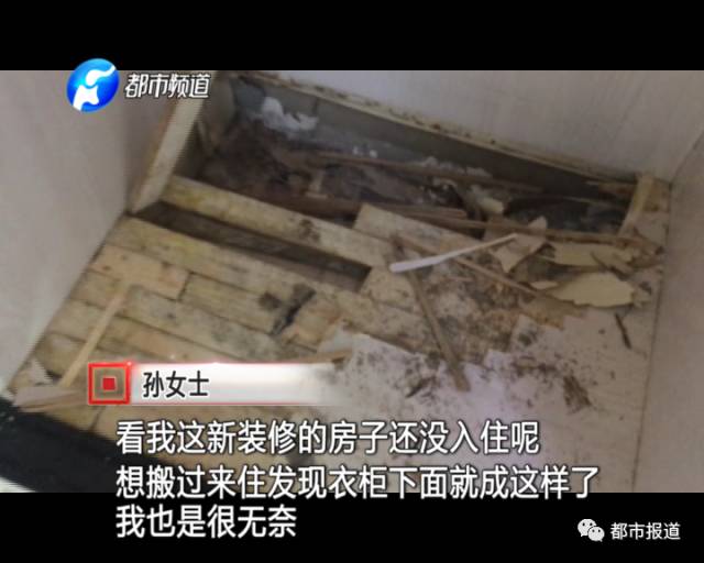 蟻?zhàn)宕筌娙肭?！十幾萬裝修的新家被“吃掉”