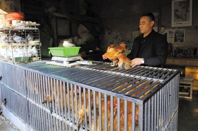 南京另一家農(nóng)貿(mào)市場(chǎng)內(nèi)待售的活雞。因南京出現(xiàn)H7N9禽流病例，買(mǎi)活雞的顧客減少。