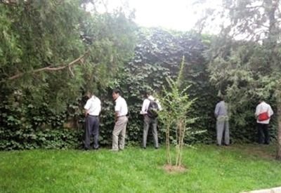 6月30日，頤和園內(nèi)綠地上，多名游客在小解。 網(wǎng)友“攝影老鬼” 攝