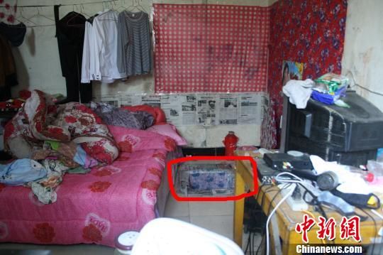 圖上紅圈內(nèi)為嫌犯所挖地窖入口。 吳佳蔚 攝