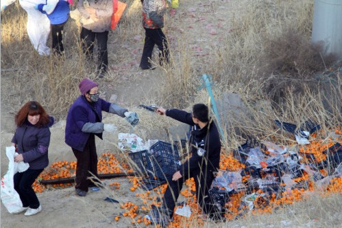 蘭州貨車側(cè)翻橘子遭百余村民哄搶，警察拔槍制止