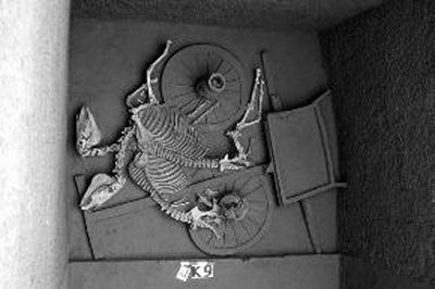 涇陽發(fā)現(xiàn)376座古墓還有6座車馬坑 涇陽發(fā)現(xiàn)376座古墓還有6座車馬坑