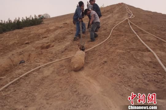 　4月27日上午，當地村民在瓜地溝村一綠化處挖出一枚長1米，重200斤的炸彈，5月10日，這枚炸彈已
