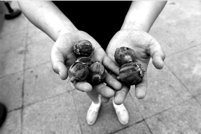 “大煙殼”輕易就可以買到。下圖：女?dāng)傊髂贸霾卦诩t色兜子里的“大煙殼”，向記者兜售。京華時報實習(xí)記者趙思衡攝