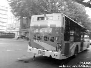 就是這輛9路車的司機幫孕婦“要”座位 網(wǎng)絡圖片