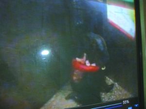 男子將侯某撲倒，侯某反抗。