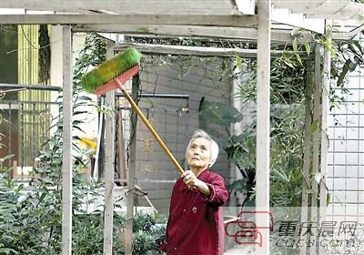 重慶現(xiàn)怪異毛毛蟲(chóng)10天啃光3棵大樹(shù) 雞不敢吃