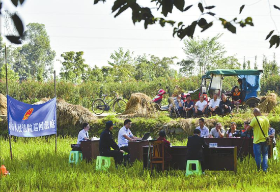 “田間法庭”審理贍養(yǎng)糾紛
