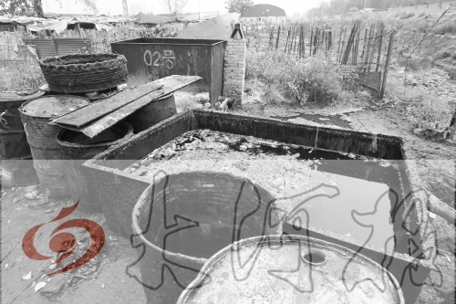 　　骯臟、令人作嘔的油桶凌亂地?cái)[放在院子里，為了避免視覺刺激，我們把它做成了黑白圖片。