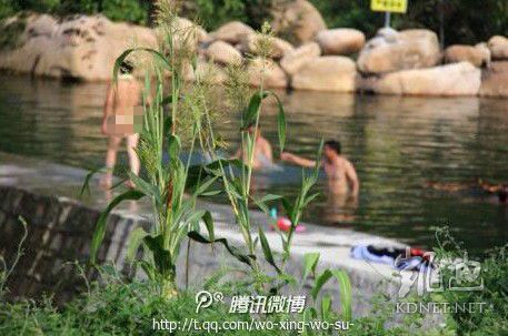 網(wǎng)友曝光的現(xiàn)場(chǎng)圖片。（圖片來(lái)自網(wǎng)絡(luò)）