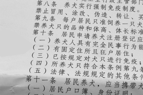 鄭州城市養(yǎng)犬管理條例多處現錯別字 鄭州城市養(yǎng)犬管理條例多處現錯別字