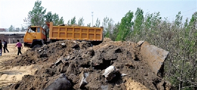 垃圾將生態(tài)涵養(yǎng)林給埋住了。