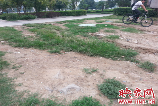 公園內大片草坪遭到破壞。