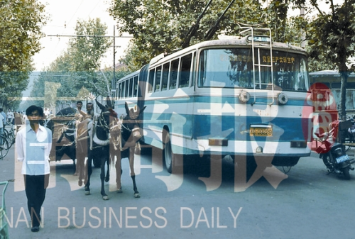 當(dāng)年的伏牛路，驢車和公交車并行