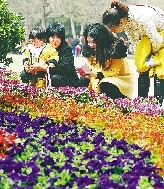 近距離才能拍得更真切。