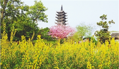 綠博園盛開的鮮花“期待”和市民“約會(huì)”。