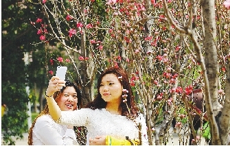 市民在公園與花合影。