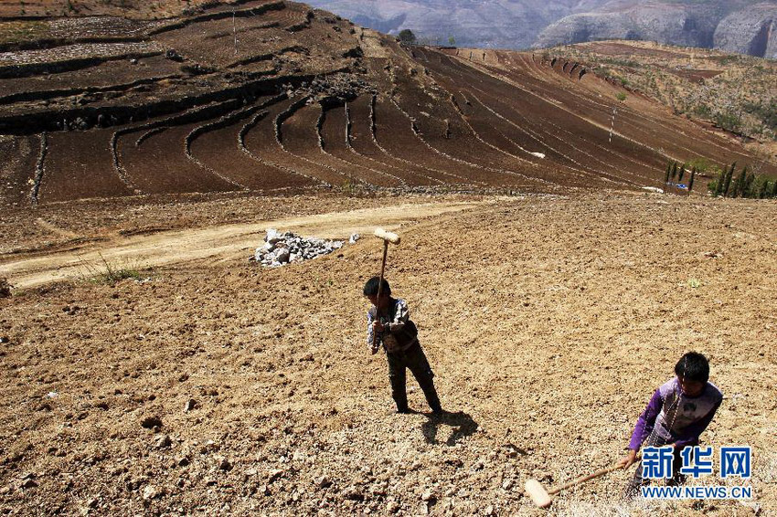 3月16日，在貴州省畢節(jié)市威寧縣斗古鄉(xiāng)中關村，兩個孩子幫助家人在干旱的土地上勞動。