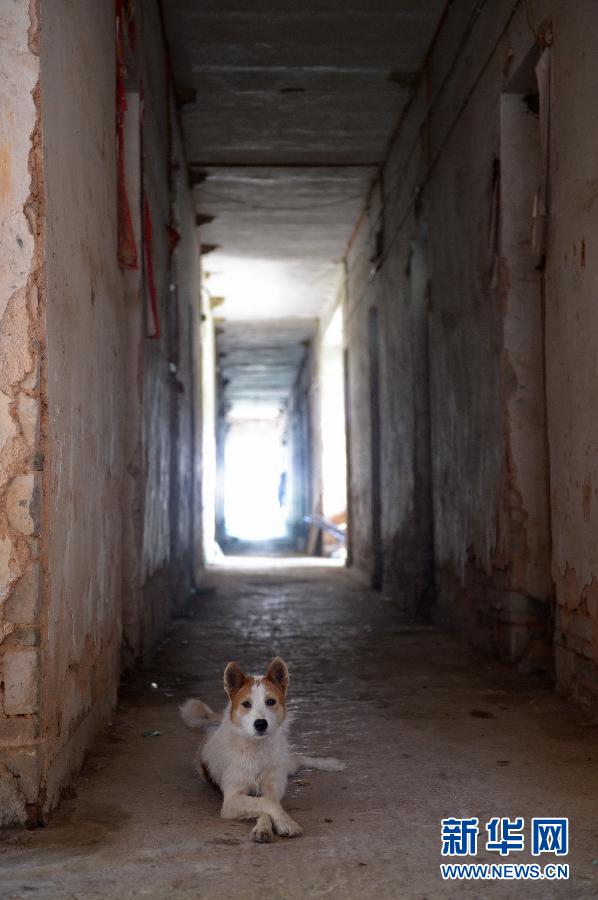 農(nóng)場(chǎng)棚戶(hù)區(qū)的最后留守家庭：留下的是回憶，迎來(lái)的是幸福