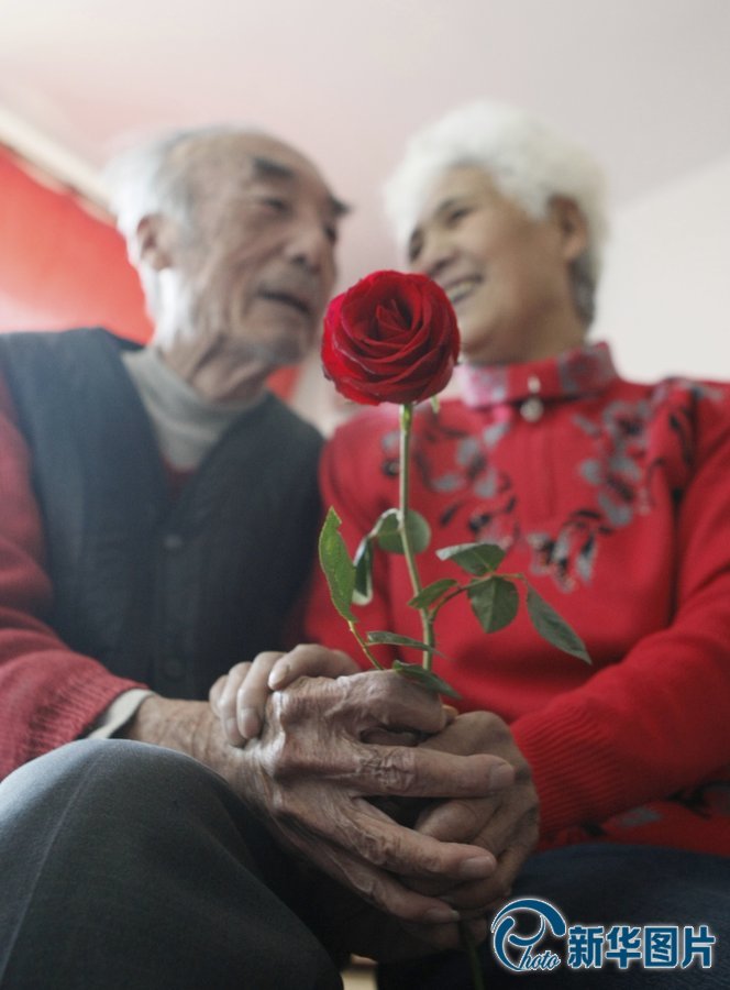  “不求天長(zhǎng)地久 只愿今生共相伴”