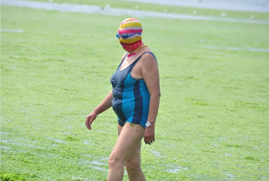 2013年7月3日，山東青島青島高溫來(lái)襲，“青島大媽”不懼滸苔，戴著“強(qiáng)盜面具”出現(xiàn)在海水浴場(chǎng)消暑降