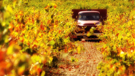 年底出境游計劃 讓美景犒賞一年的辛苦 年底出境游計劃 讓美景犒賞一年的辛苦