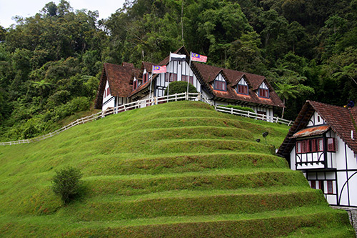 熱帶高原的意外驚喜 熱帶高原的意外驚喜