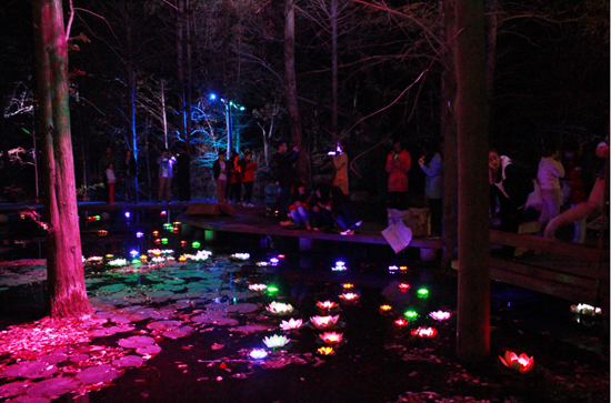 相約雞公山享“民國(guó)風(fēng)華”